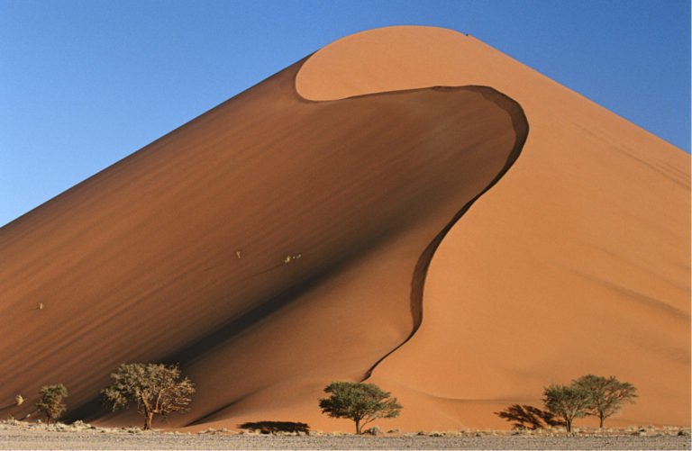 Namib-Desert