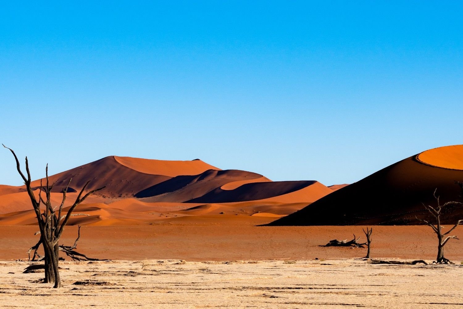 deadvlei-namib